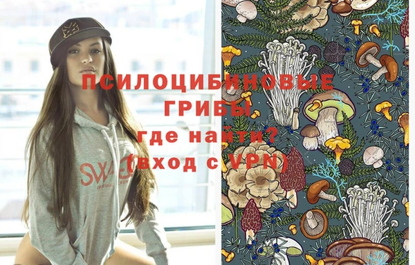 соль курить ск Гусь-Хрустальный